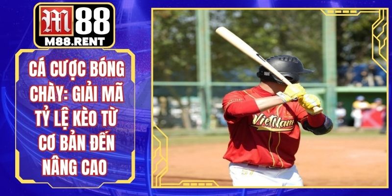 Cá Cược Bóng Chày: Giải Mã Tỷ Lệ Kèo Từ Cơ Bản Đến Nâng Cao