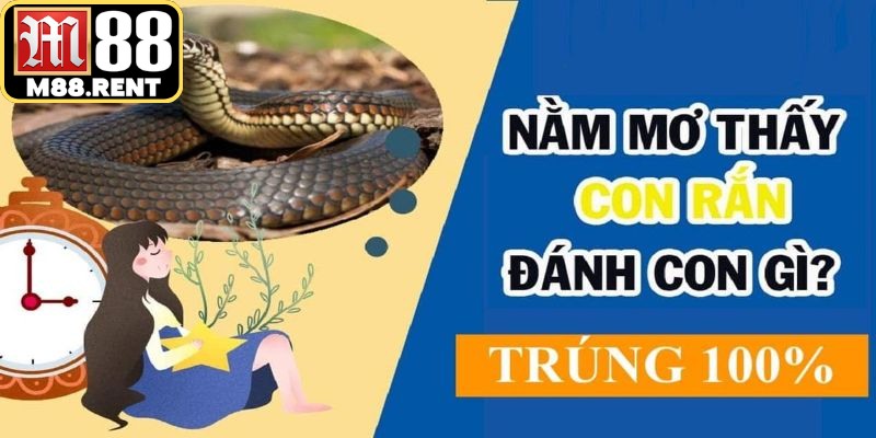 Những con số tài lộc khi nằm mơ thấy rắn bạn có thể tham khảo