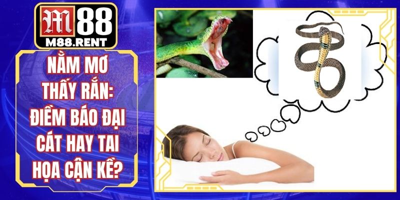 Nằm Mơ Thấy Rắn: Điềm Báo Đại Cát Hay Tai Họa Cận Kề?