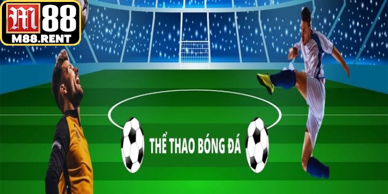 Bình luận viên (BLV) chính là người linh hồn truyền tải sự kịch tính của trận đấu